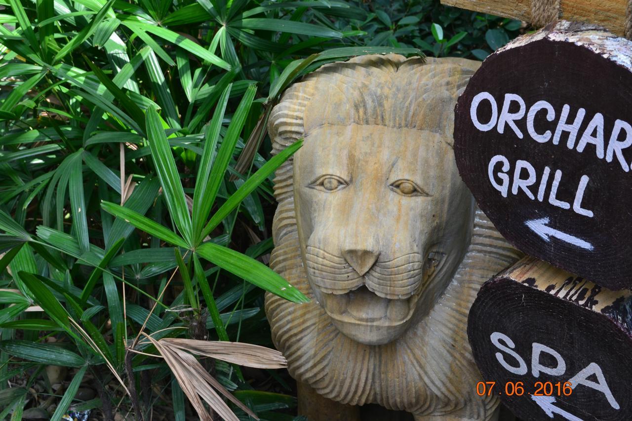 Corbett Wild Iris Spa And Resort Ramnagar  Zewnętrze zdjęcie